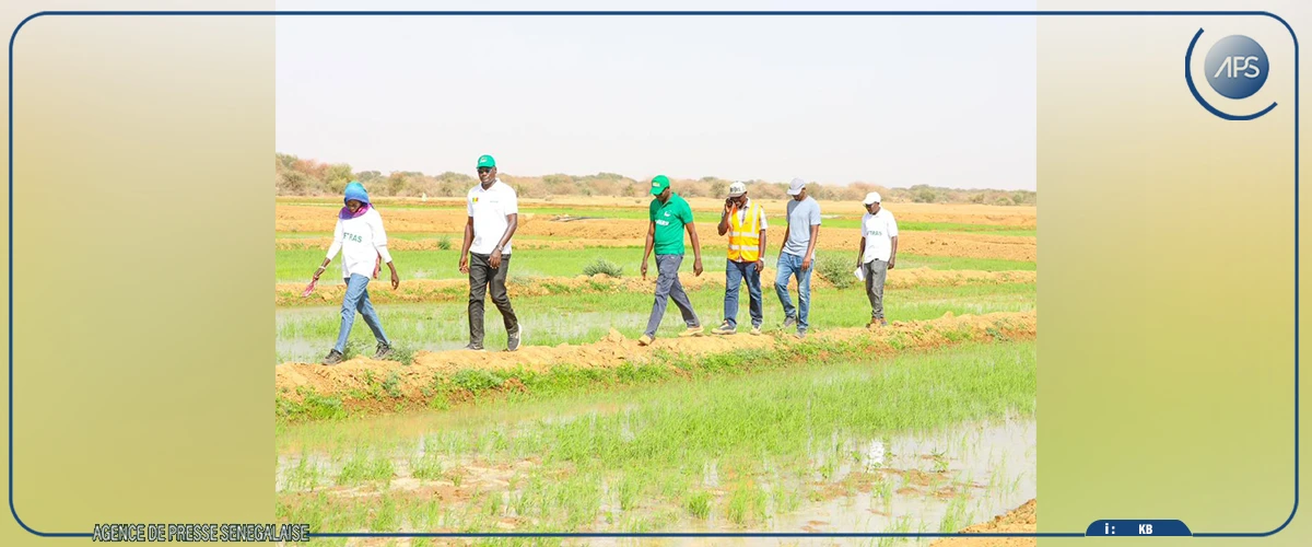 Matam : des entreprises chargées des aménagements pour la contre-saison invitées à livrer leurs travaux “d’ici fin avril”