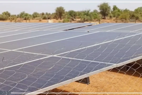 A Wendou Bosséabé, dans la région de Matam, retour confirmé au travail de la terre