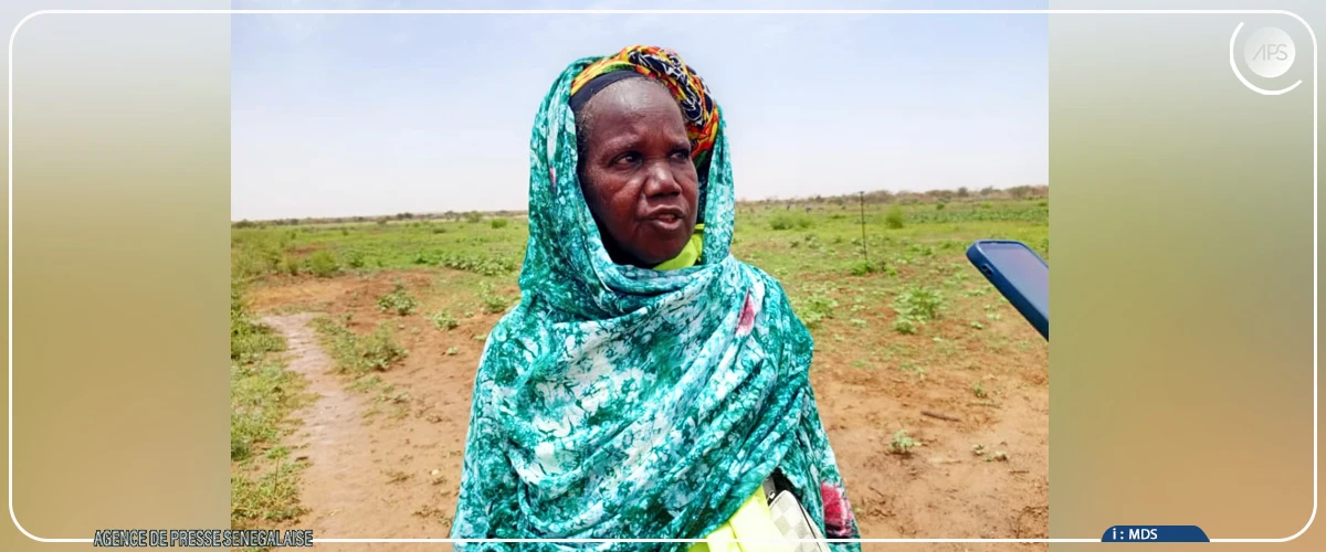 A Wendou Bosséabé, dans la région de Matam, retour confirmé au travail de la terre