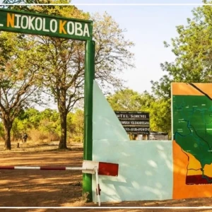 Tambacounda : lancement d'un projet régional de conservation de la biodiversité de plus de 3 milliards CFA