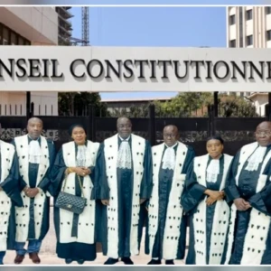 Le Conseil constitutionnel déclare certaines dispositions du Conseil national de régulation des médias "contraires" à la Constitution 