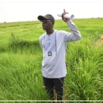 Matam : l'engagement des producteurs de Bow dans la politique de souveraineté alimentaire salué