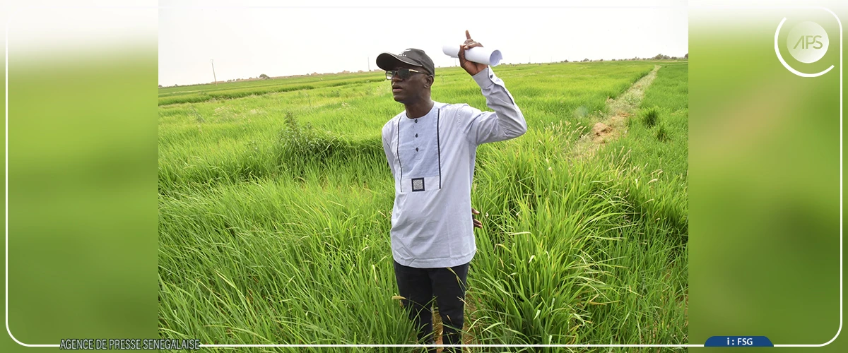 Matam : l’engagement des producteurs de Bow dans la politique de souveraineté alimentaire salué