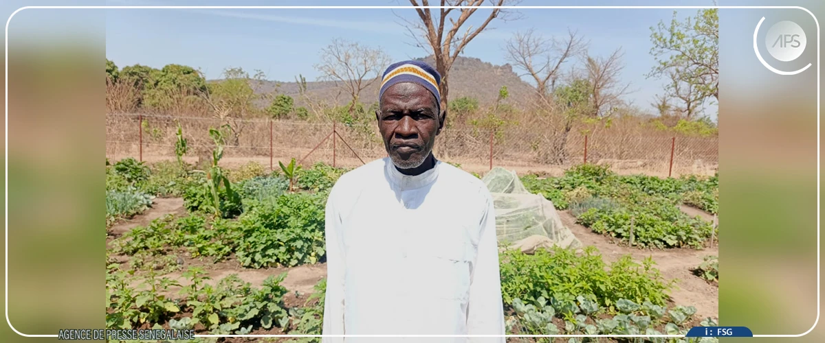 Le combat des femmes pour sauver la réserve et la cascade de Dindéfélo