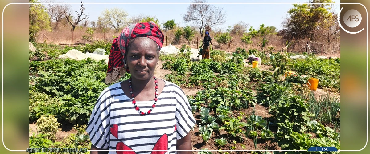 Le combat des femmes pour sauver la réserve et la cascade de Dindéfélo