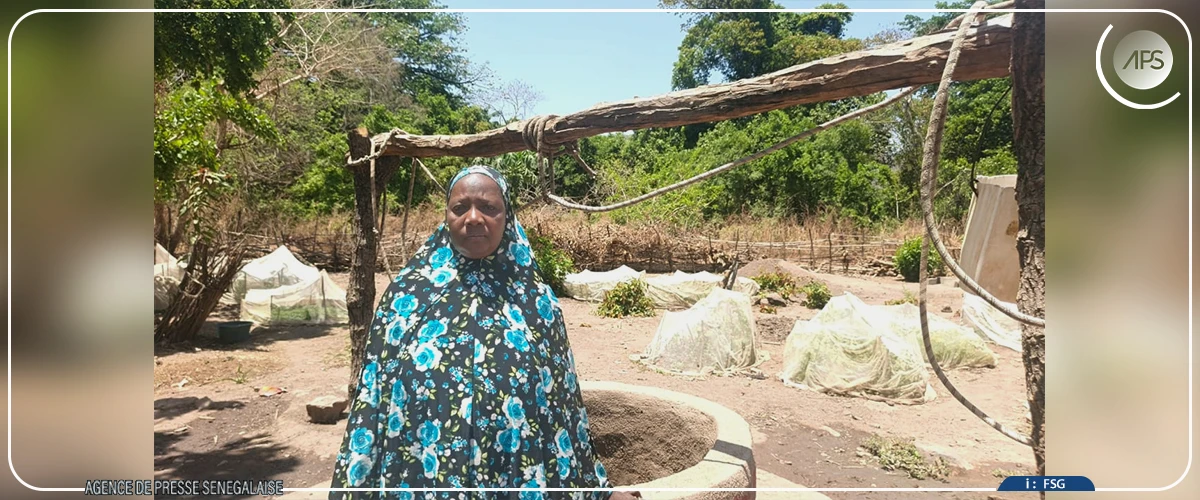 Le combat des femmes pour sauver la réserve et la cascade de Dindéfélo