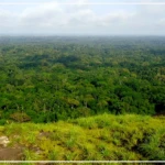 Plaidoyer pour le déclassement de la forêt de Richard-Toll