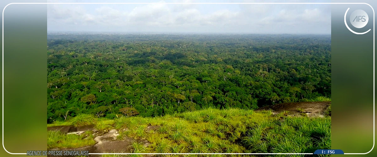 Plaidoyer pour le déclassement de la forêt de Richard-Toll