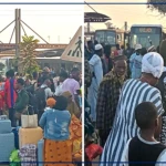 "Baux maraîchers" prise d'assaut avec l'opération spéciale de desserte pour Pâques