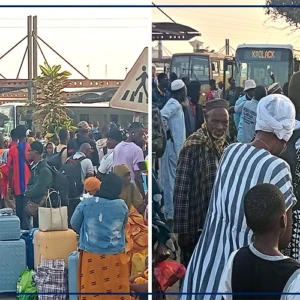 "Baux maraîchers" prise d'assaut avec l'opération spéciale de desserte pour Pâques