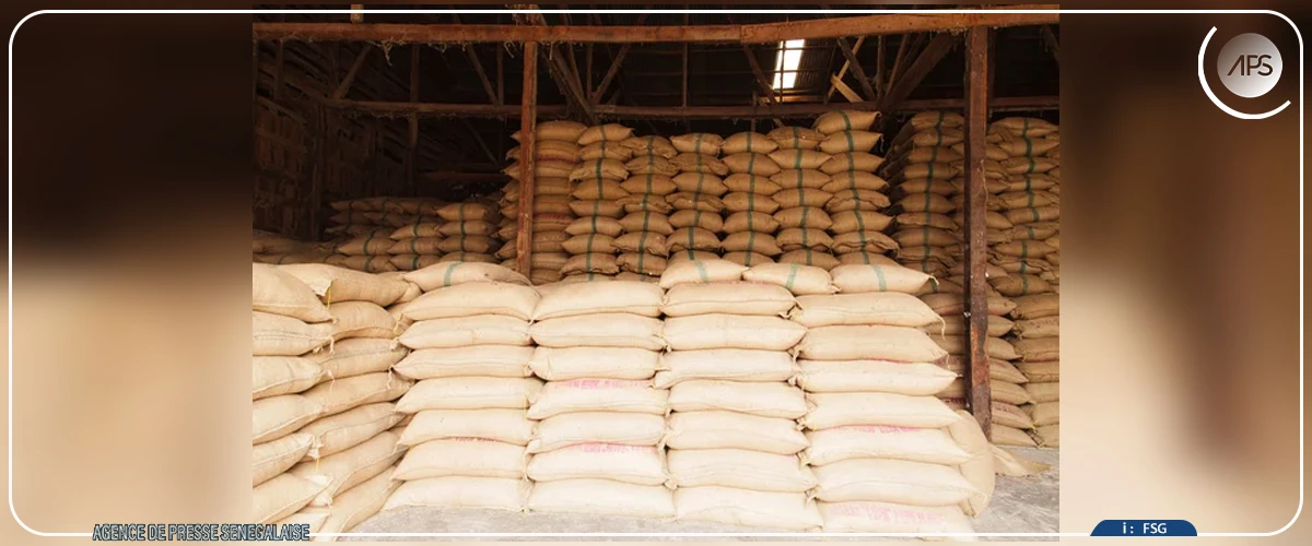 Le riz local peine à se vendre dans le sud du Sénégal, malgré le coup de pouce du gouvernement