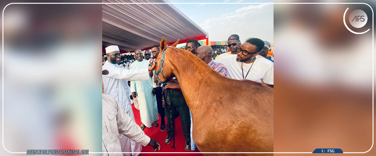 Dahra-Djoloff : El Malick Ndiaye appelle à faire des courses hippiques un levier pour le développement local