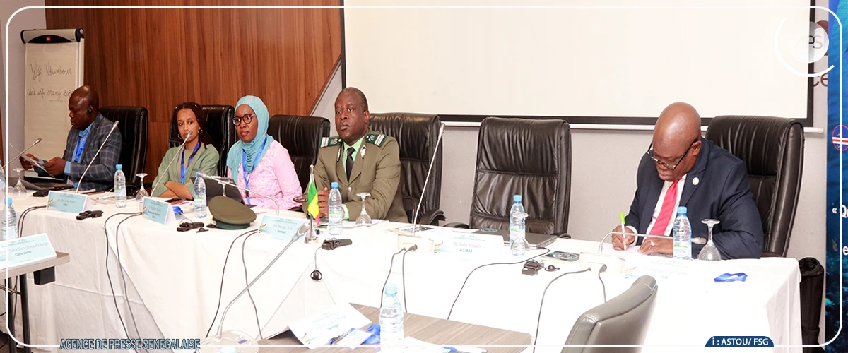 Des experts sous-régionaux veulent faire des zones marines protégées des moteurs de la croissance bleue