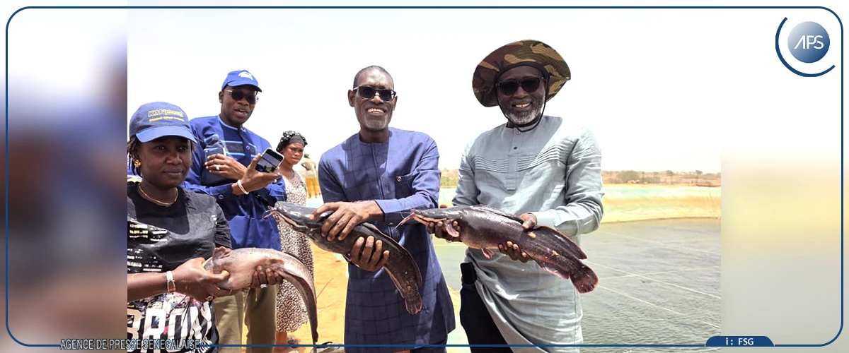Darou Khoudoss : la ferme Andal 1, vitrine d'un modèle intégré d'aquaculture durable