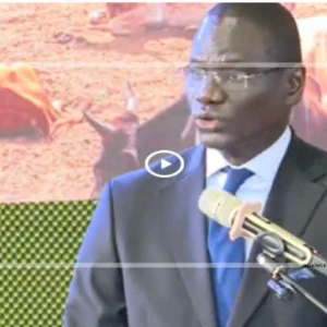 JAES 2026 : un tournant décisif pour ancrer durablement l’agroécologie au Sénégal