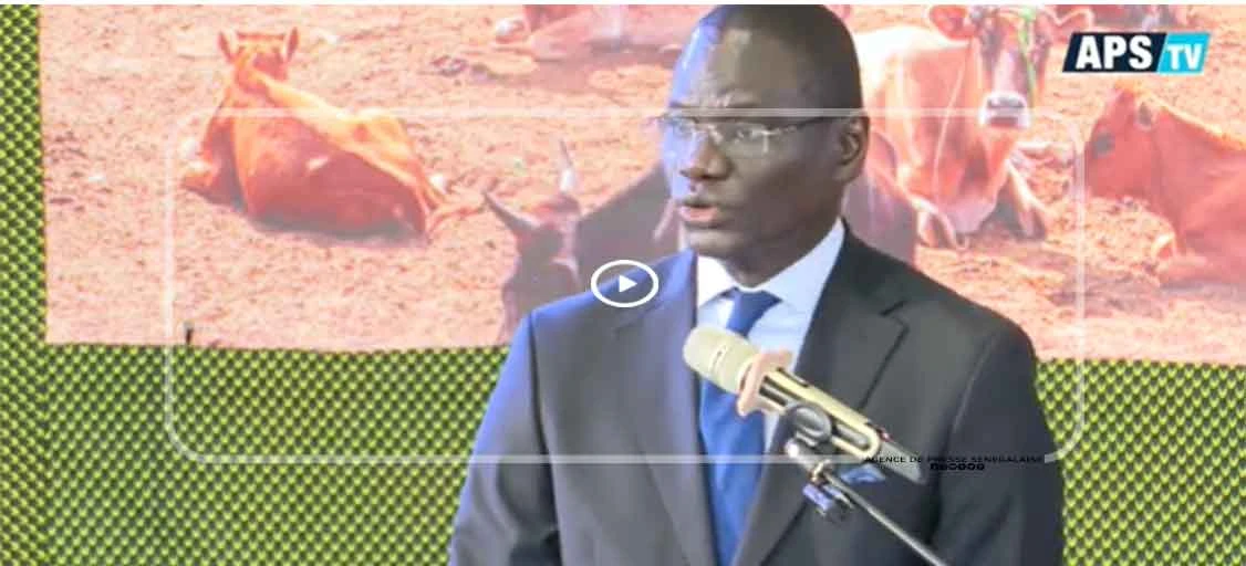 JAES 2026 : un tournant décisif pour ancrer durablement l’agroécologie au Sénégal