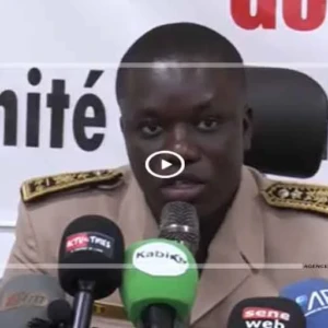 Tabaski 2026 : la région de Thiès prévoit 230 000 moutons sur un dispositif sécurisé