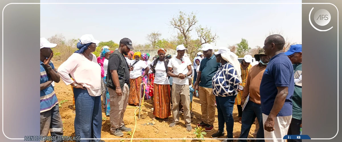 Près de 300 emplois et 160 tonnes de poisson par an attendus du pôle aquacole de Kédougou