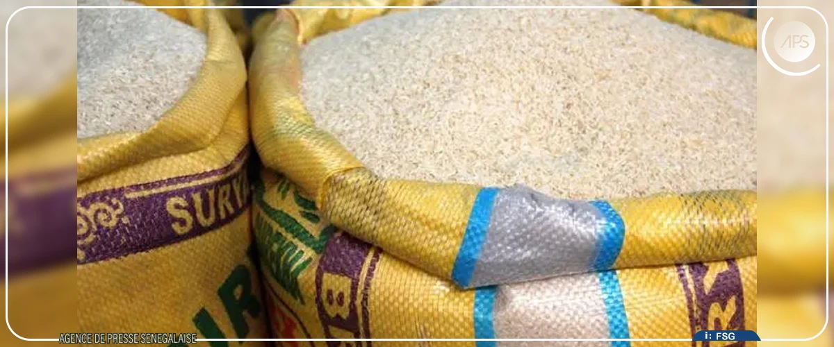 Le riz local peine à se vendre dans le sud du Sénégal, malgré le coup de pouce du gouvernement