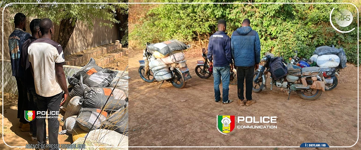 Trois personnes déférées au parquet de Tambacounda pour trafic de produits chimiques dangereux