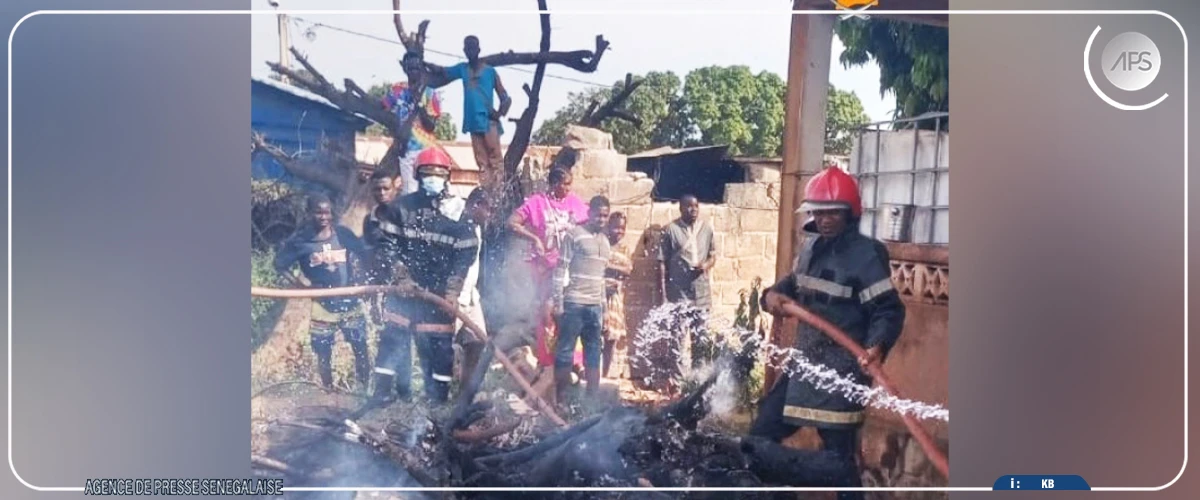 Kédougou : un jardin agricole ravagé par un violent incendie