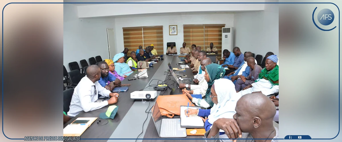 Tabaski: Louga table sur 170 000 moutons, dont 55 000 destinés à Dakar