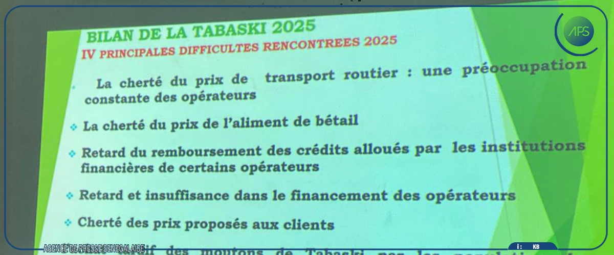 Tabaski 2026 : le département de Ziguinchor table sur 19 000 moutons