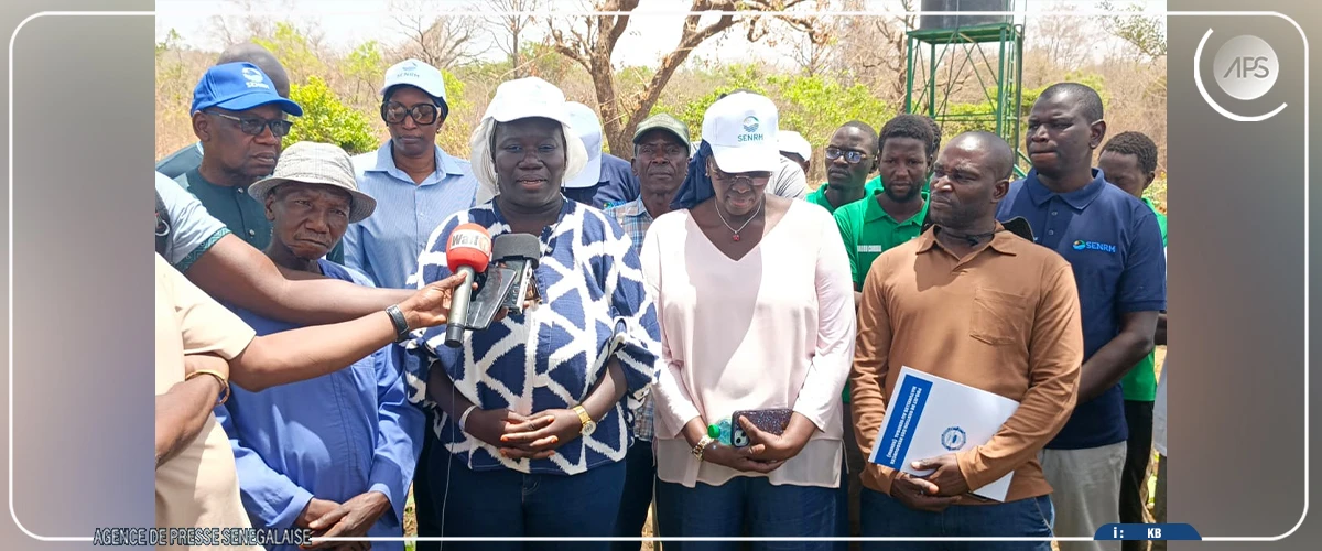 Près de 300 emplois et 160 tonnes de poisson par an attendus du pôle aquacole de Kédougou