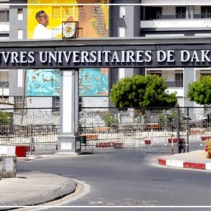 A l'UCAD, l'introduction de l'IA dans les enseignements séduit mais interroge