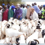 Vol de bétail: l'angoisse d'un phénomène destructeur dans le Ferlo