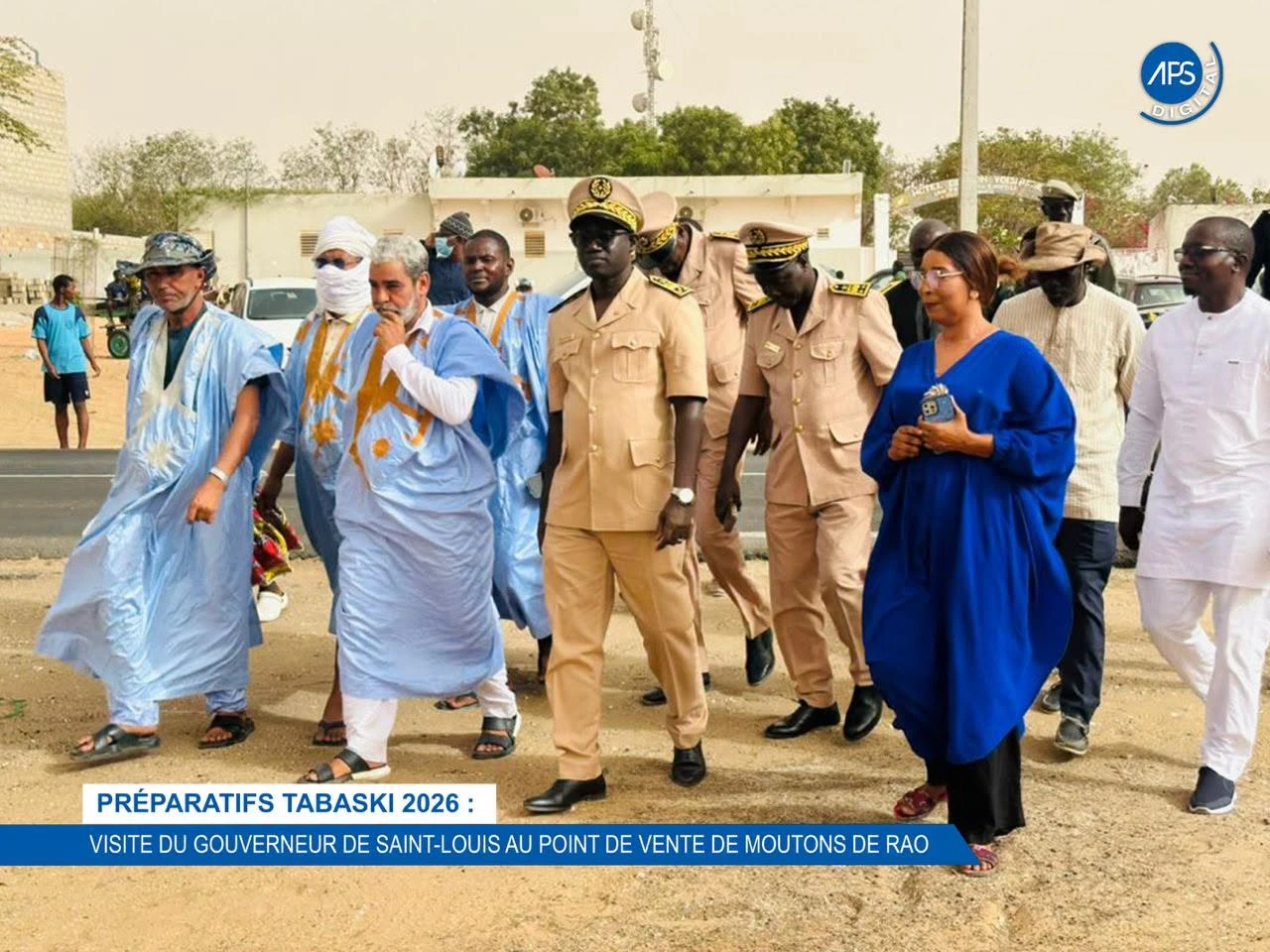 Préparatifs  Tabaski 2026 : visite du gouverneur de Saint-Louis au point de vente de moutons de RAO