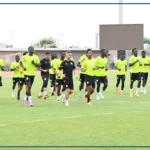 Coupe du monde : Les Lions ont entamé leur regroupement à Diamniadio