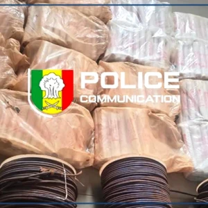 Kidira : du matériel explosif destiné à l'orpaillage clandestin saisi à Diyabougou (police)