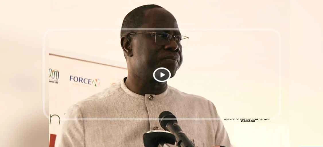 Emploi des jeunes : Daouda Ngom alerte sur un défi “majeur” pour le Sénégal