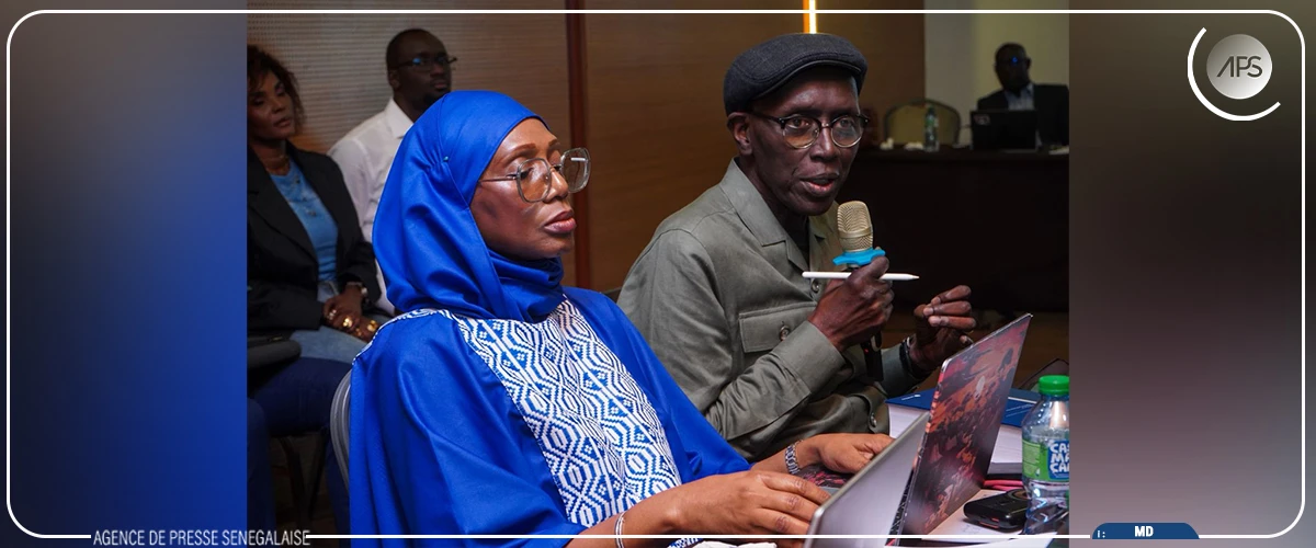 Le Sénégal s’engage à œuvrer pour l’application de la rémunération pour copie privée (officiel)
