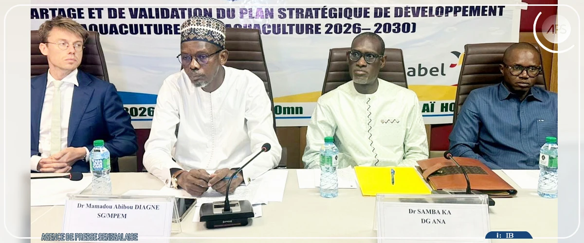 Aquaculture : l’ANA veut, avec son PSD, générer 26 000 emplois et produire 20 000 tonnes de poisson, d’ici à 2030