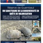 APS HEBDO N° 83