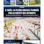 APS HEBDO N 85