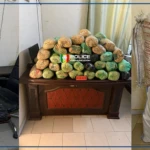 Fatick : 63 kg de chanvre indien saisis à Karang