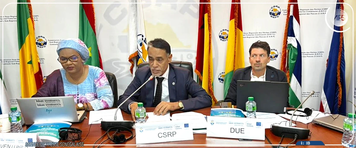 La CSRP met en place un groupe technique de travail sur la pêche artisanale