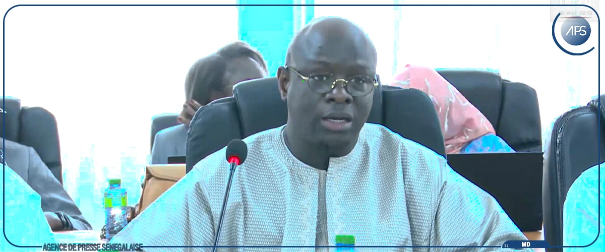 Cheikh Diba relève un faible niveau d’exécution budgétaire de certains programmes