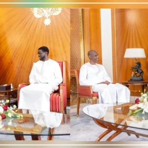 Le chef de l’Etat a reçu les anciens ministres Amadou Kane et Abdoulaye Daouda Diallo