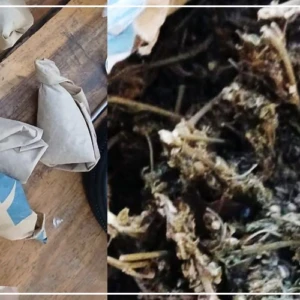 L'OCRTIS démantèle plusieurs réseaux de trafic illicite sur l'ensemble du territoire national (communiqué)