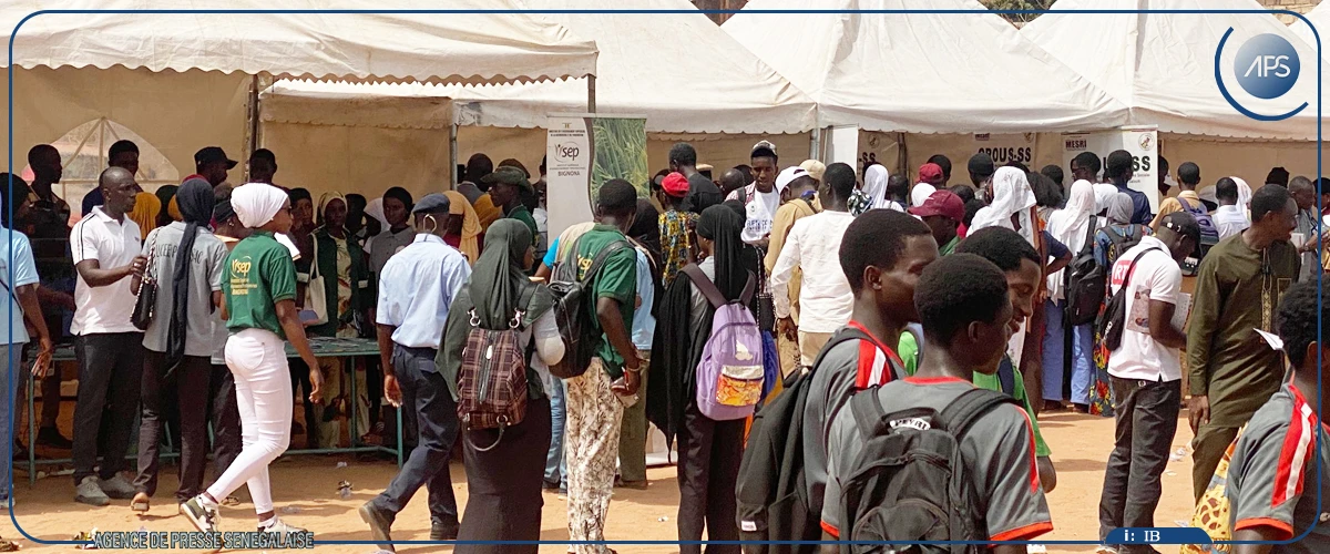 Caravane de l'orientation : la forte mobilisation des acteurs de Ziguinchor saluée