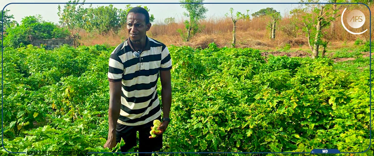 Abdoulaye Baldé, un exemple d’insertion réussie par l’agriculture grâce à l’ANIDA