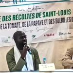 Un spécialiste déplore les pertes après récolte dans la Vallée et dans la zone des Niayes