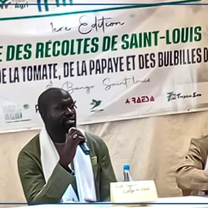 Un spécialiste déplore les pertes après récolte dans la Vallée et dans la zone des Niayes