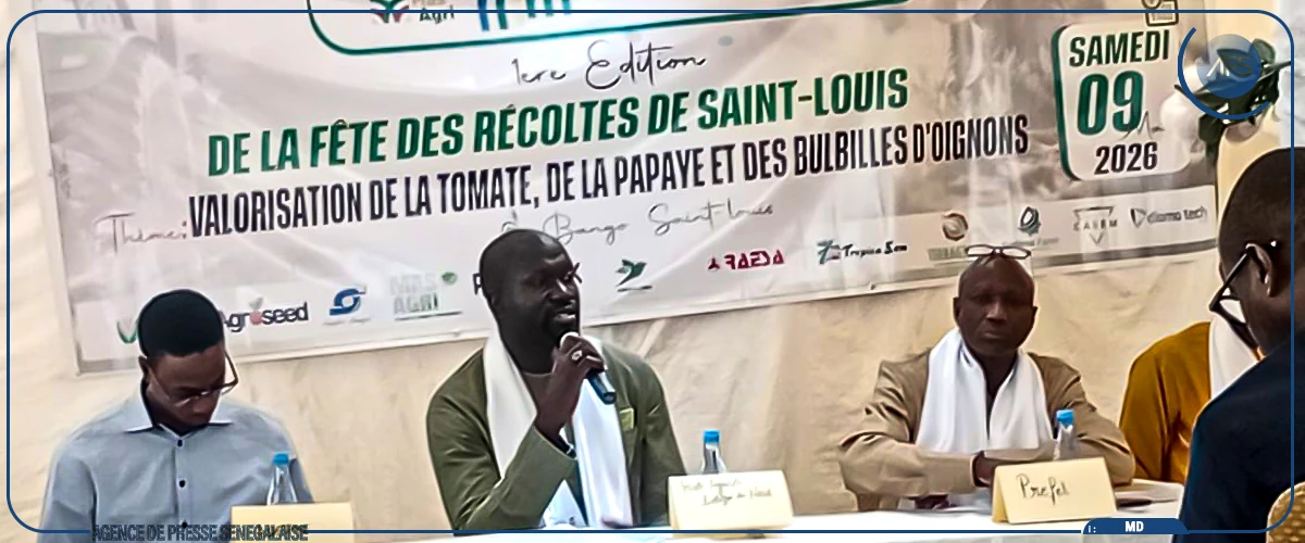 Un spécialiste déplore les pertes après récolte dans la Vallée et dans la zone des Niayes