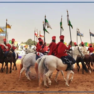 Courses hippiques : le CNG organise une première édition du Grand prix de la Gendarmerie nationale à Thiès