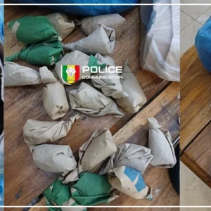 L'OCRTIS démantèle plusieurs réseaux de trafic illicite sur l'ensemble du territoire national (communiqué)